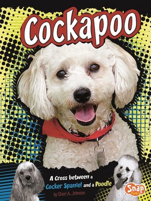 cover image of Cockapoo